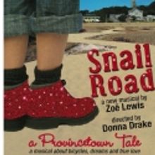 MAMA AND HER BOYS and SNAIL ROAD Return to Provincetown Counter Productions Thru 10/1