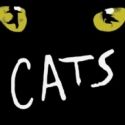 White Plains Performing Arts Center Announces CATS Cast