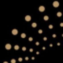 Audience Learns Salsa Dancing on A Noise Within Stage