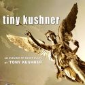 BWW Reviews: Zeitgeist Stage Offers Ample Feast With 'Tiny Kushner'