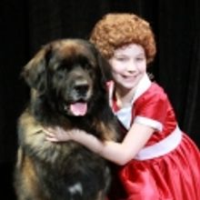 CM Performing Arts Center Presents ANNIE