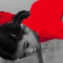 Part Performance And Part Social Event; The Brooklyn Arts Exchange Presents SALON' May 11-13