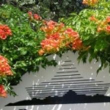 Sierra Repertory Theatre Featured by the National Endowment for the Arts