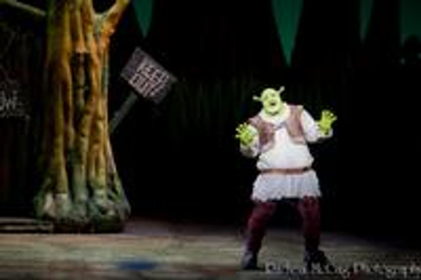 Photo-Coverage-Let-Your-Freak-Flag-Wave-SHREK-opens-in-Toronto-20000101 Photo-Coverage-Let-Your-Freak-Flag-Wave-SHREK-opens-in-Toronto-20000101