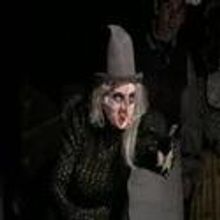 STAGE TUBE: Highlights from Lauren Kennedy-Led INTO THE WOODS