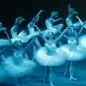 Moscow Festival Ballet Brings SWAN LAKE to Jorgensen’s Stage, 3/27