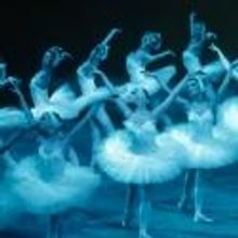 Moscow Festival Ballet Brings SWAN LAKE to Jorgensen’s Stage, 3/27