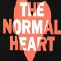 Barbra Streisand Responds to Larry Kramer on NORMAL HEART Film