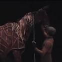 STAGE TUBE: Behind-the-Scenes of WAR HORSE Tour in LA; Opens Tonight, 6/29!