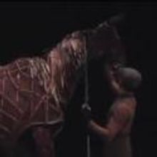 STAGE TUBE: Behind-the-Scenes of WAR HORSE Tour in LA; Opens Tonight, 6/29!