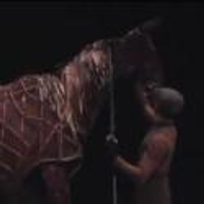 STAGE TUBE: Behind-the-Scenes of WAR HORSE Tour in LA; Opens Tonight, 6/29!