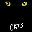Cats kommt nach Frankfurt
