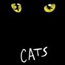 Cats kommt nach Frankfurt