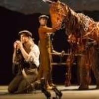 BWW Reviews: WARHORSE- Beauty In Battle Video