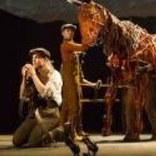 BWW Reviews: WARHORSE- Beauty In Battle