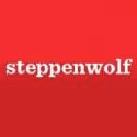 Firecat Projects and 16th Street Theater Present NICKEL HISTORY at The Steppenwolf…