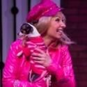 Photo Flash: Beck Center's LEGALLY BLONDE