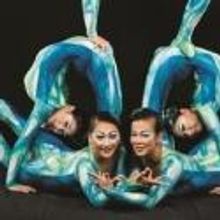 Cirque du Soleil to Present DRALION at BankAtlantic Center, 7/19-29