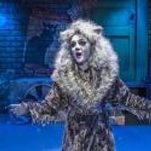 Photo Flash: First Look at Emily Brockway and More in CRT's CATS