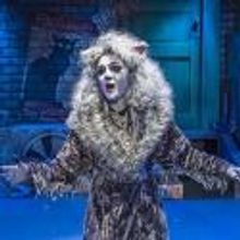 Photo Flash: Cortland Repertory Theatre's CATS Opens Tonight, 7/11