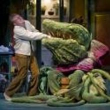 Photo Flash: Jonathan Lee Cunningham and More in LITTLE SHOP OF HORRORS at Theatre…