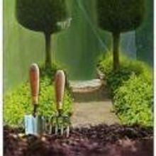 BWW Reviews: Opera Theater of Pittsburgh's CANDIDE Ends SummerFest on a High Note