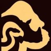 LA Zoo Hosts Global Fusion Music Night Tonight, 7/27