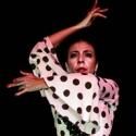 FOREVER FLAMENCO! Returns to the Fountain Theatre, 8/5