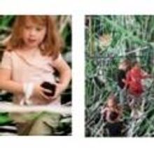 Polyglot Theatre's TANGLE Debuts at Lincoln Center Today, 7/26