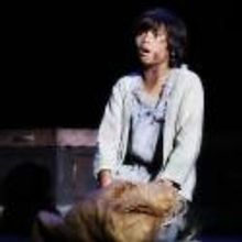 BWW Reviews: OLIVER! Lights Up NC Theatre
