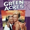 GREEN ACRES Musical Aims for Broadway