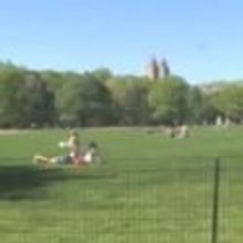 CURSE ON SUMMIT ROCK Plays in Central Park Today, 7/29