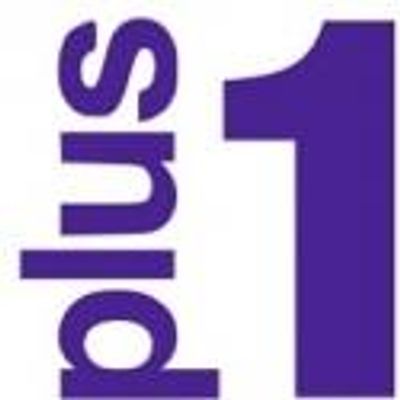 Tongue and Cheek Theater Presents PLUS ONE SOLO SHOW FESTIVAL, 7/28 - 7/29