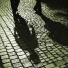 Perfect Shadow Presents Two Works of Shakespeare, Now thru Sept 8
