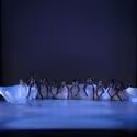 STAGE TUBE: Ailey II Appears on Polish SO YOU THINK YOU CAN DANCE