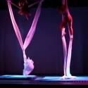 STAGE TUBE: The Circus Project's ROLLING ON THE FLOOR LAUGHING at Brighton Fringe