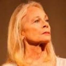 BWW Reviews: Westport's THE YEAR OF MAGICAL THINKING Empowers