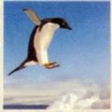 Leap of Faith Dance Theatre Plays the Town Hall Theater, 5/16