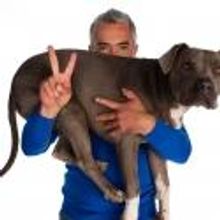 SHATNER'S WORLD, SPAMALOT, et al. Included in State Theatre's 2012-13 Season!