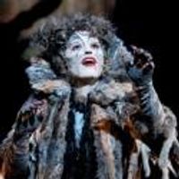 BWW Reviews: There's Something About CATS at the Cadillac Palace Theatre Photo