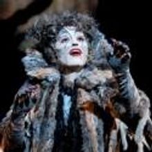 BWW Reviews: There's Something About CATS at the Cadillac Palace Theatre