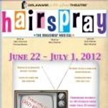 BWW Interviews: DAST's Deb Johnson Talks HAIRSPRAY