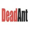 DeadAnt Presents Noel Coward's STILL LIFE, Now thru July 6
