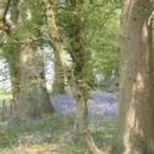 Wintershall Players Present THE LIFE OF CHRIST at the Wintershall Estate, Surrey in…