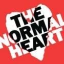 Full Cast Announced for THE NORMAL HEART Tour!