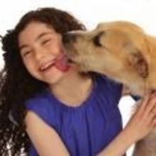 Photo Flash: Meet ANNIE's 'Sandy,' Shelter Dog Sunny!