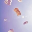 The New Theatre Project Announces New Work Collage 2012: TAKING CHANCES