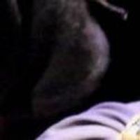 BWW Reviews: AESOP'S FABLES, Hackney Empire, May 13 2012 Photo