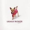 Lighthouse Youth Theatre Presents LEGALLY BLONDE THE MUSICAL, 6/8 - 6/10