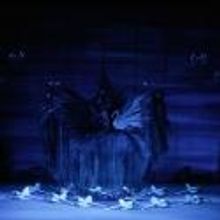 Westside Center for Independent Living Holds Fundraiser to See Bolshoi Ballet's SWAN